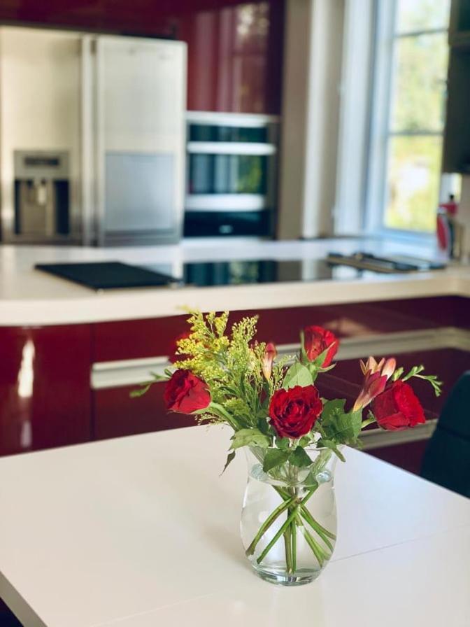 Apartament Aparments Bukol Vojkovice  Zewnętrze zdjęcie